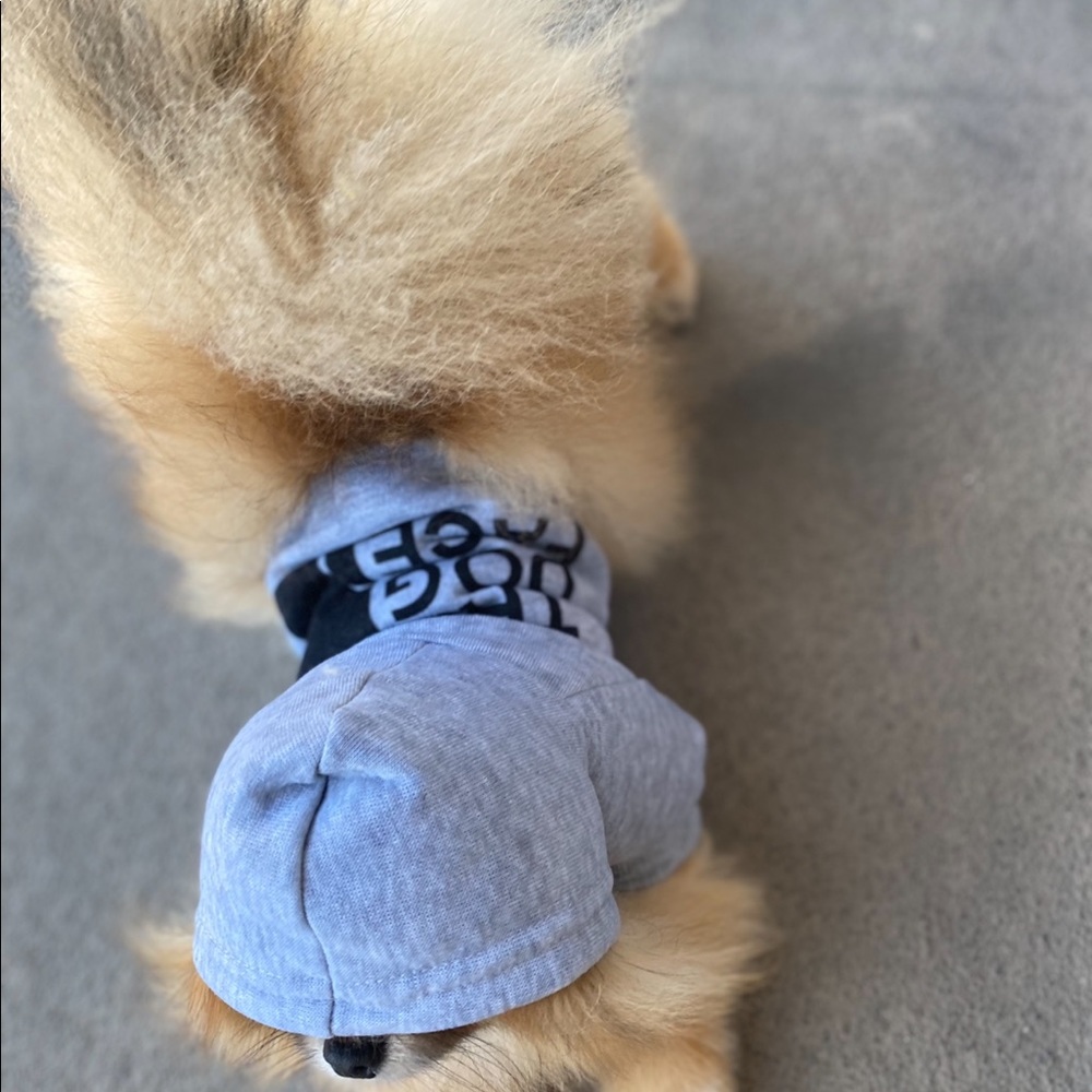 Dog sweater - Picture 2 of 3